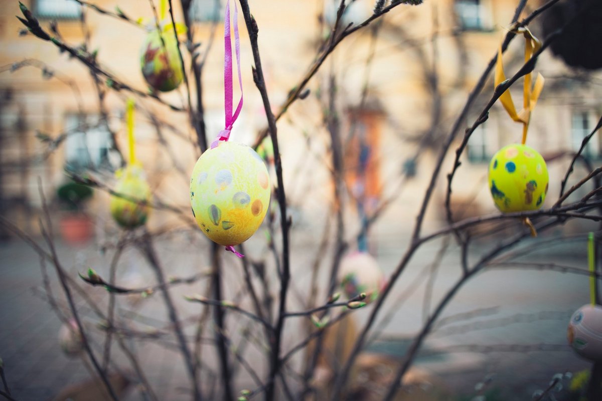 Frohe Ostern wünscht der MVFP Südwest! Foto © Markus Spiske/unsplash 